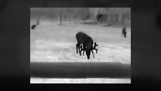 Тепловизор для охоты FLIR Scout (часть 8) смотреть онлайн