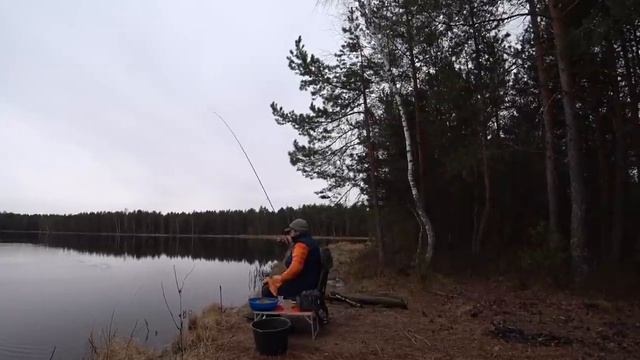 Плотва В Апреле