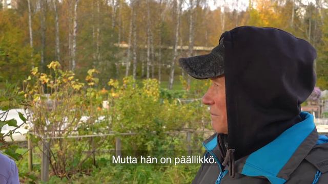 Vantaalaiset kertovat | Ainon ja Arvin inkerinsuomalaiset kultahäät смотреть онлайн