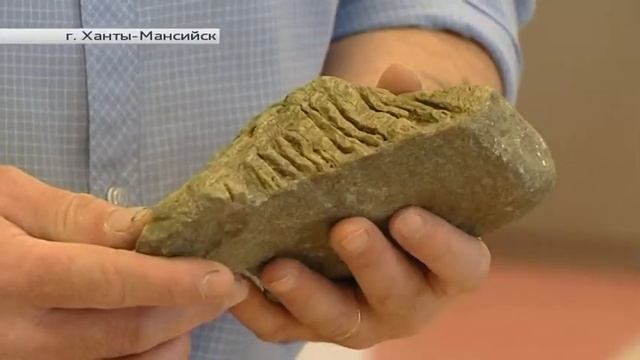В научной лаборатории ЮГУ можно увидеть позвонок кита, а также другие уникальные находки смотреть онлайн