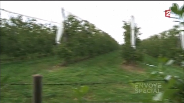 Pommes : Envoyé spécial 5.03.2015 "PEUT-ON ENCORE MANGER DES POMMES ?" смотреть онлайн