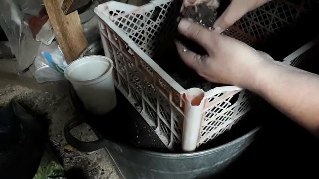 На меня напала "ЧИСТОТА"😁😜😂🤣😂! смотреть онлайн