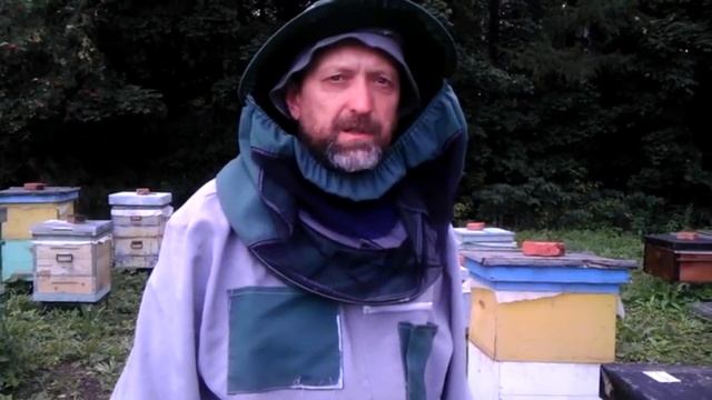 Когда покупать мёд? смотреть онлайн
