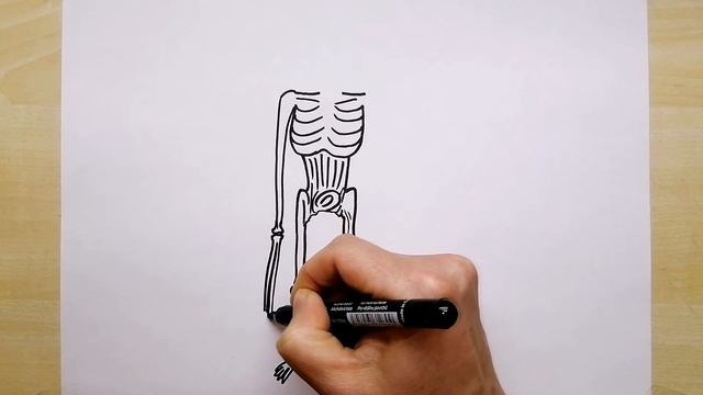 How To Draw SIREN HEAD | Step By Step | Siren head | scp 6789 смотреть онлайн