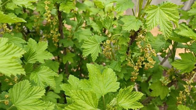 Холодный май смотреть онлайн