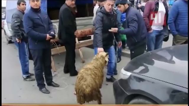 Курбан-байрам в Екатеринбурге смотреть онлайн