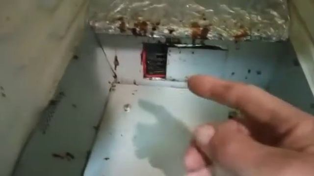 Аппарат для сушки продуктов смотреть онлайн