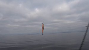 Рыбалка в Карелии. Кумжа. Палия.