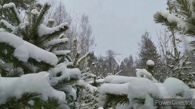 Как человек видит будущее. смотреть онлайн