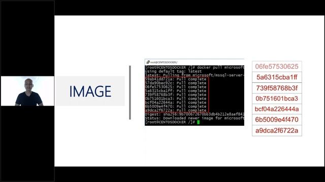 Introducing SQL Server on Containers: What Database Administrators Need to Know смотреть онлайн
