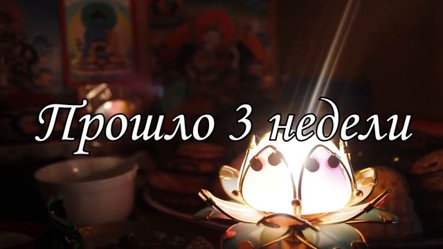 Что будет если не есть СЛАДКОЕ месяц смотреть онлайн
