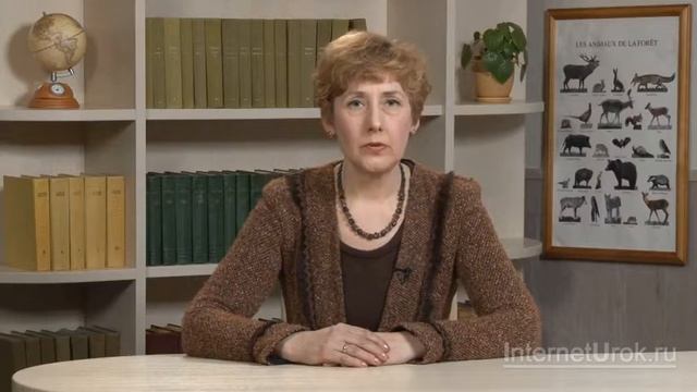 Места обитания птиц Значение птиц в жизни человека смотреть онлайн