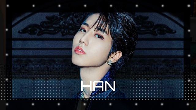 CONHECENDO OS MEMBROS DO STRAY KIDS! смотреть онлайн