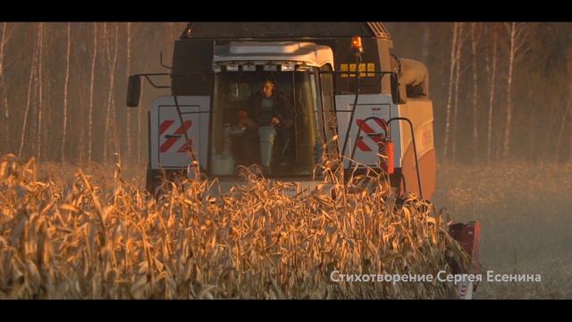 Поддержка фермеров и кооперативов смотреть онлайн