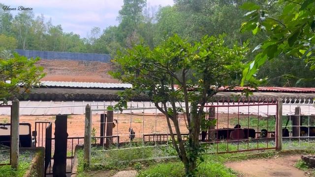 Ho Chi Minh City Vietnam Tourist Places | Things to do in Ho Chi Minh & Budget Hotel | Heena Bhatia смотреть онлайн