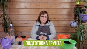 Китайский способ выращивания томатов. УРОЖАЙ В 3 РАЗА БОЛЬШЕ?!