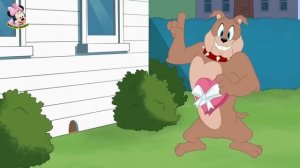 Tom and Jerry | Tom and Jerry Bangla | cartoon | Tom and Jerry cartoon | Bangla Tom and Jerry