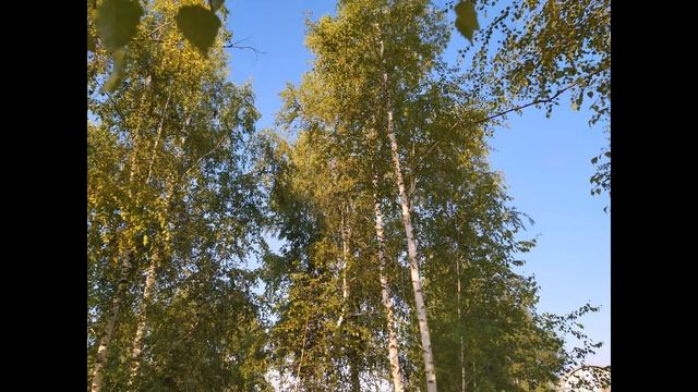 29 июля. АФИНОГЕНОВ ДЕНЬ. Что нельзя делать. Народные приметы смотреть онлайн