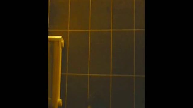 лазерный луч-все что нужно коту для счастья смотреть онлайн