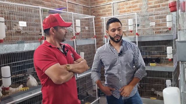 Criadero El Angel Jesus Parte 5 смотреть онлайн