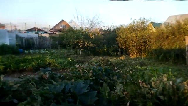ПРОСТАЯ ЖИЗНЬ//ПРОПОЛКА В ОГОРОДЕ// СТРОИМ ДОМ смотреть онлайн