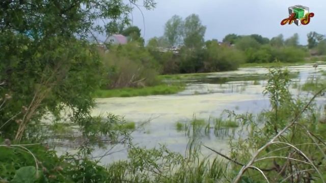 Наша река Обь 9 июня 2014г Камень на оби. смотреть онлайн