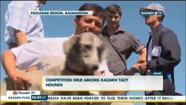 Тазылар іріктелді смотреть онлайн