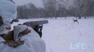 Как охотиться на косулю с подхода? Секреты сибирских охотников!