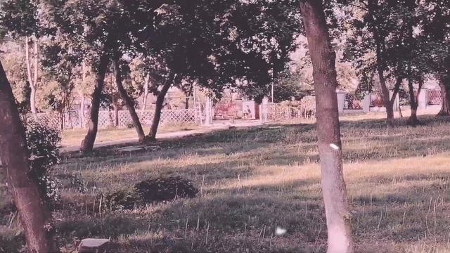 Самый старый Некрополь в городе Воронеже. очень странное место. смотреть онлайн