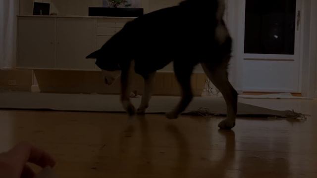 Max IQ test смотреть онлайн