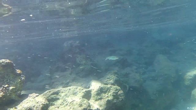 Турция Мармарис - Ичмелер: снорклинг, дайвинг. Turkey Marmaris - Icmeler: Diving, Snorkeling.