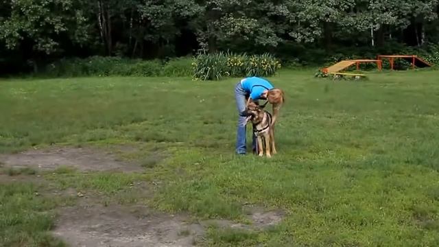 Спорт без тренера