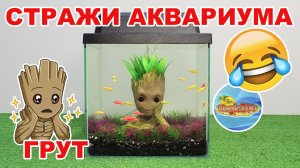 Грут на страже аквариума ? Оформляем мини аквариум в подарок.
