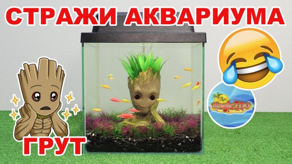 Грут на страже аквариума ? Оформляем мини аквариум в подарок.
