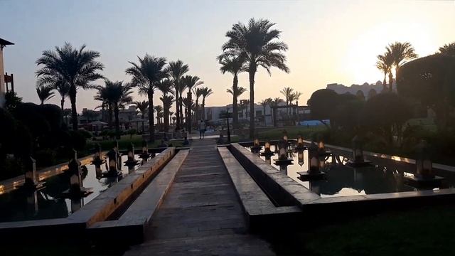 Из жизни отдыхающих. Марса Алам (Египет), ноябрь 2019. смотреть онлайн