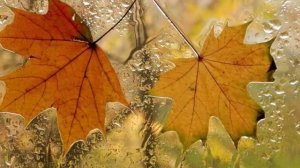 Д. Кедрин "Бабье лето"