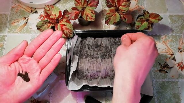 Неприхотливый однолетник ЛЬВИНЫЙ ЗЕВ посев на рассаду 2022. смотреть онлайн