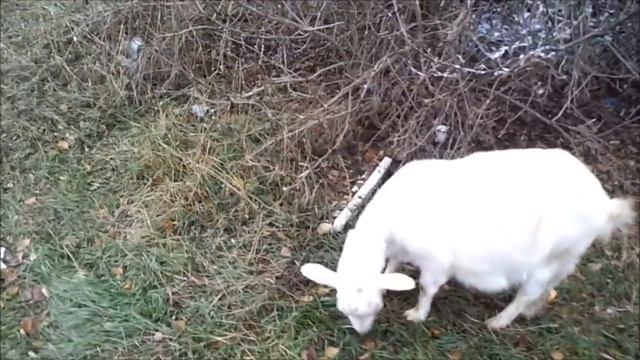 Секреты Творческой Энергии