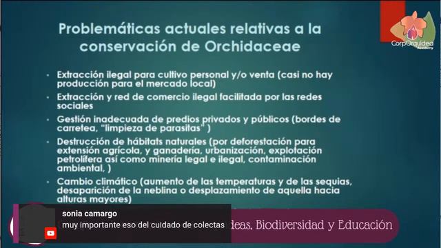 Problemáticas Y Retos Para La Conservación De Las Orquídeas: En La Búsqueda De La Sostenibilidad