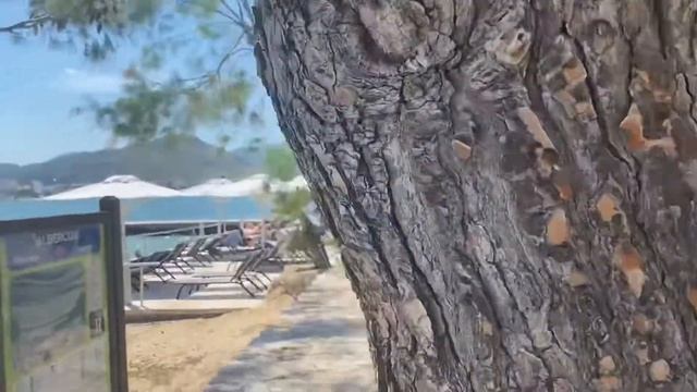 4K The Pine Walk Puerto de Pollensa :) 4K walking Tour June 2021port de pollença Walk with me :) смотреть онлайн