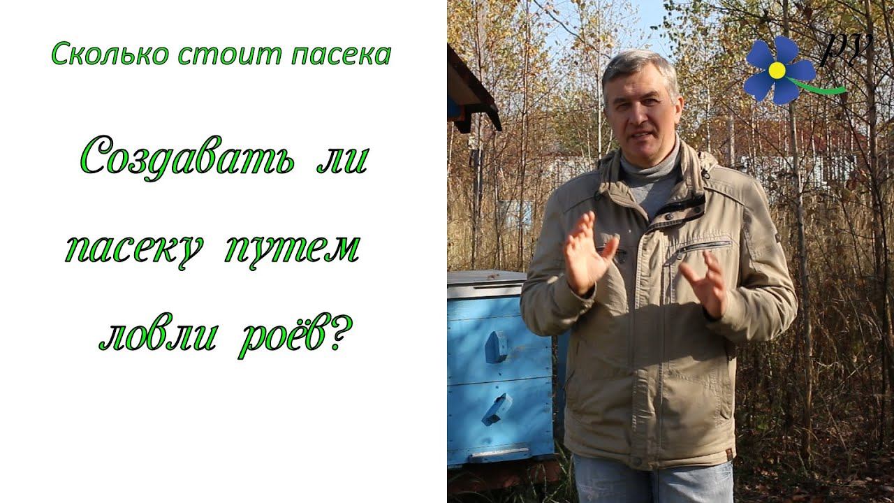 Ловля роёв как способ создания пасеки смотреть онлайн