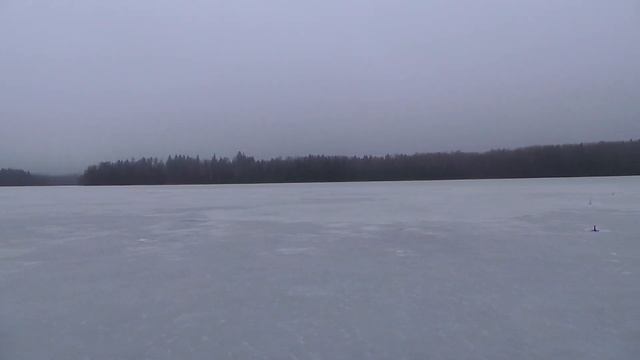 оз. Букинское... 24.02.14.