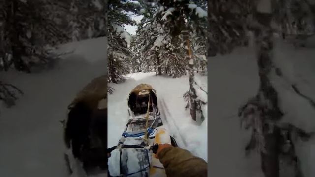 По путику на буксировщике РАЙДА (воскресная прогулка) смотреть онлайн