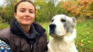 ОНА ЗАЩИТИТ ОТ ЛЮБОГО, А ЛОШАДИ ОТ ЛЮБОЙ СОБАКИ. ОТКРЫЛИ НАТУРАЛЬНУЮ ПОСЫЛКУ. ЖИЗНЬ ПРОСТЫХ ЛЮДЕЙ