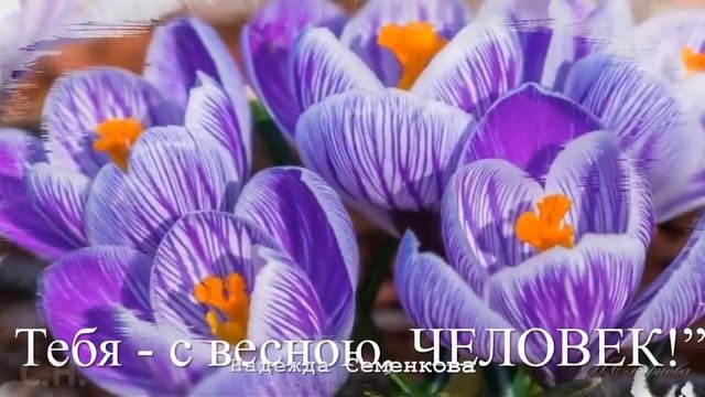 Курс МИАМ Покорение вершин Adobe After Effects смотреть онлайн