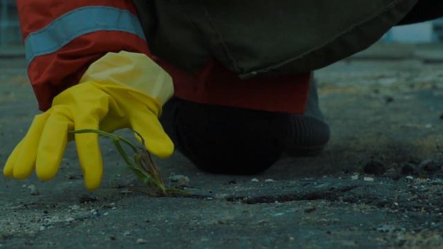 лемниската петрикор- серебристый черный смотреть онлайн