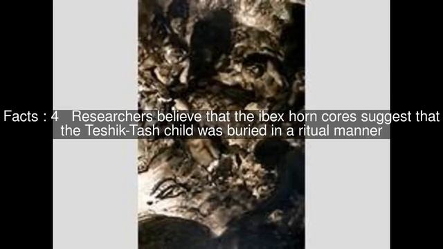 Teshik-Tash Top #7 Facts смотреть онлайн