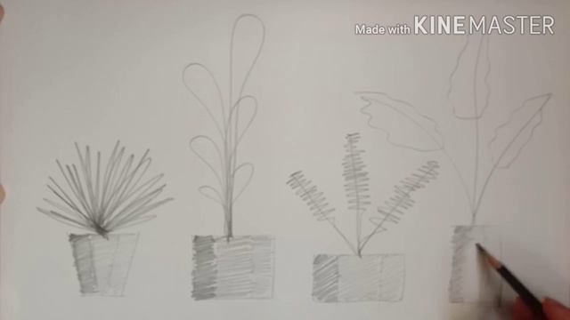How To Sketch Plants Patterns смотреть онлайн