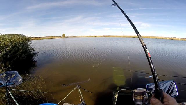 FADEEVFISHING TANDEM BATTLE #2. Турнир по фидерной ловле 4.10.2015 смотреть онлайн