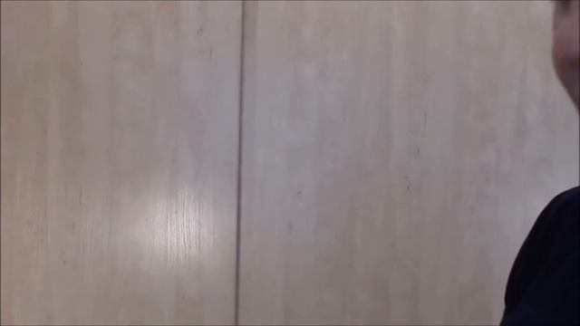 Ремонт сноубордических ботинок Salomon Malamute